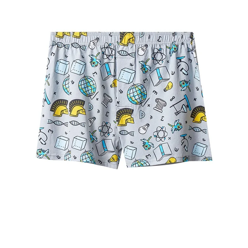 Boxers en coton pour hommes, p - Boxer Brief Pack Cotton avis et prix